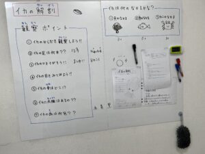 イカの解剖の板書